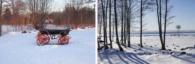 Jūra galima grožėtis iš senovinio vežimaičio arba namuose pro langą, vasarą – iš terasos
