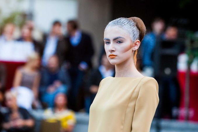 D. Šilkaičio kolekcijos modelis