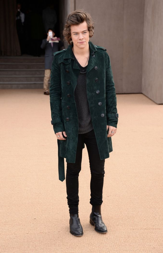 Harry Stylesas