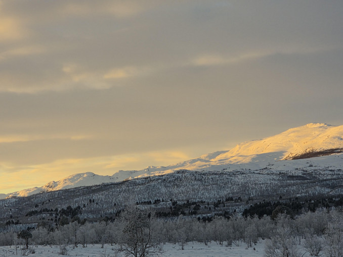 Abisko nacionalinis parkas žiema