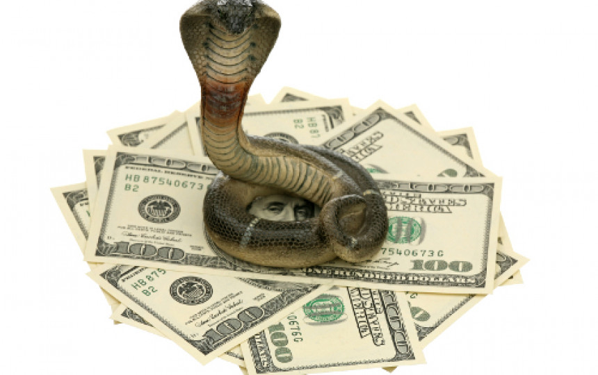 Змейка деньги. Денежная змея. Змей и деньги. Змеи с деньгами. Денежный змий.