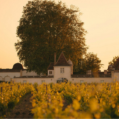 Château Rauzan-Ségla ir Château Canon švenčia bendradarbiavio su CHANEL 30-metį