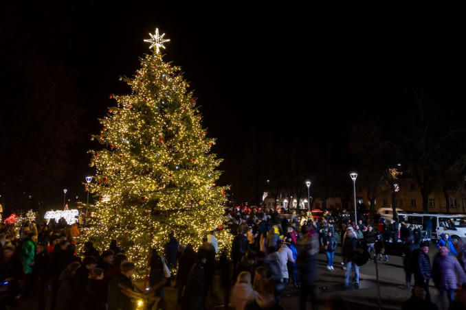 Biržų Kalėdų eglutė