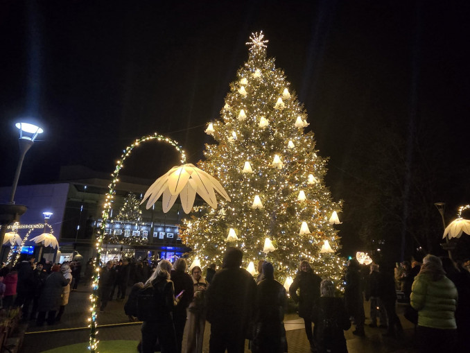 Anykščių Kalėdų eglutė