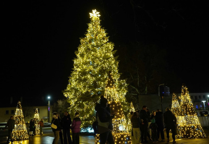 Vilkaviškio Kalėdų eglė